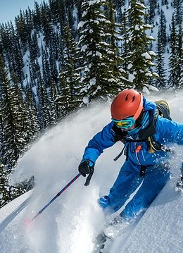 O persoană care face ski