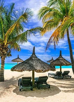 Șezlonguri cu umbrelă pe o plajă cu palmieri