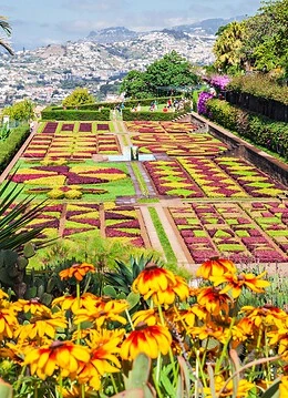 Grădina botanică din Funchal