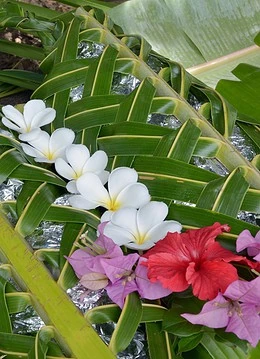 Flori din Fiji