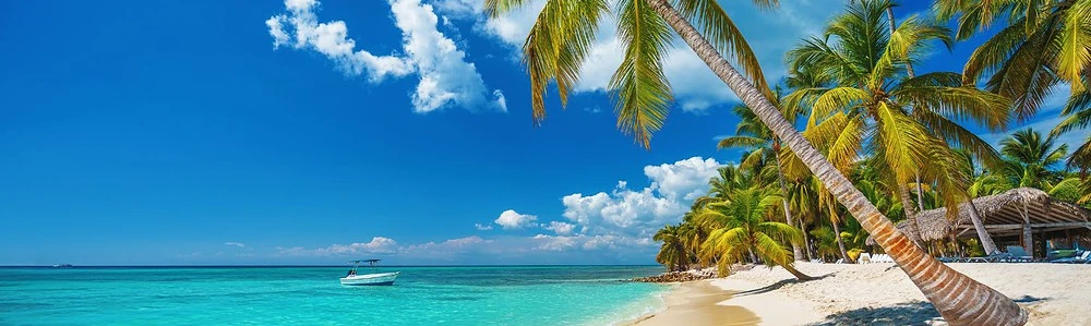 Plajă cu palmieri în Punta Cana