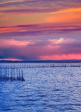 Parcul natural Albufera