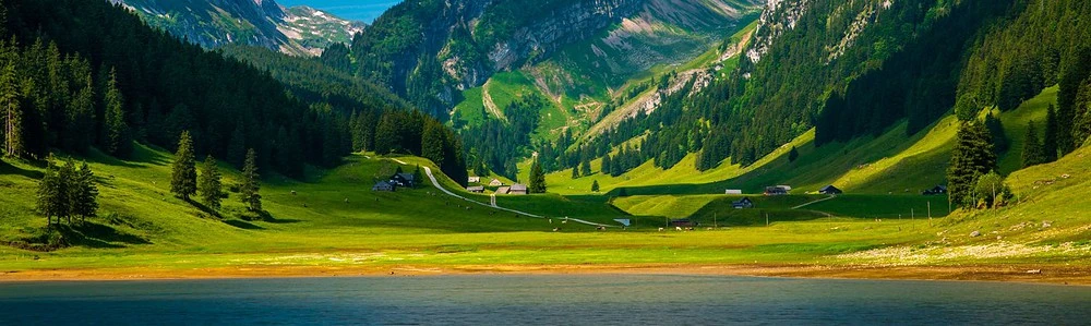 Peisaj panoramic natural verde din Alpi