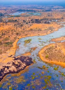 Delta Okavango