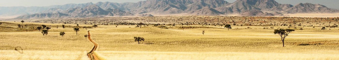 O zonă de câmpie galbenă din Namibia