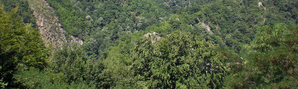 Peisaj natural din Băile Olănești