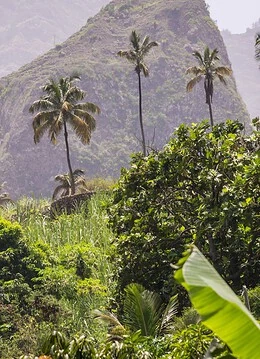 Un peisaj natural din Capul Verde