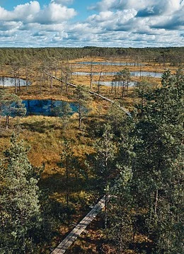 Parc național din Estonia