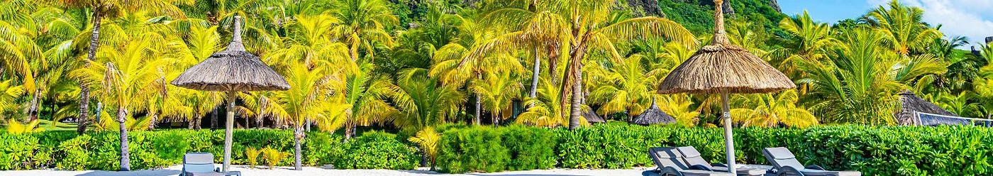 Palmieri galbeni și șezlonguri pe plajă