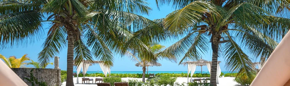 Palmieri pe o plajă exotică cu șezlonguri