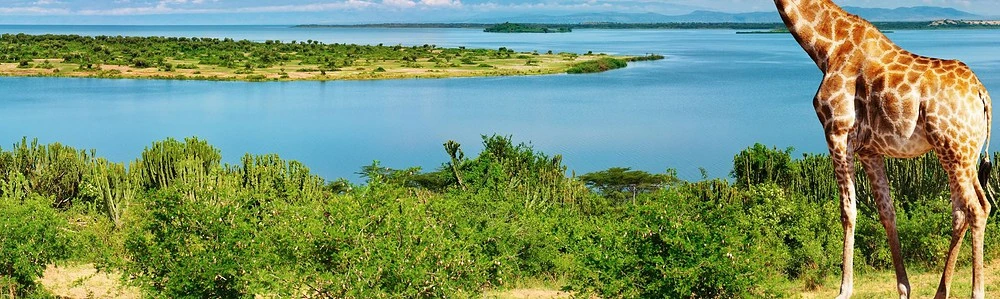 Peisaj natural al unui râu din Uganda