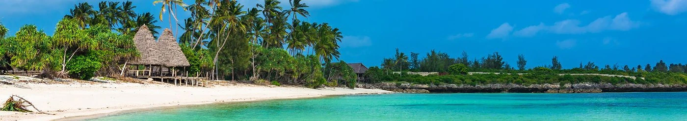 O plajă cu palmieri din Zanzibar