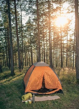 Camping cu cortul în pădure