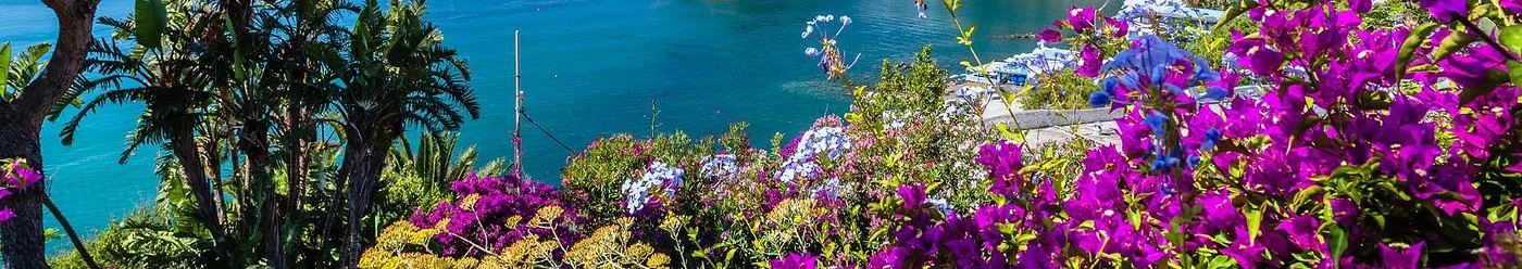 Flori lângă plajă în Ischia