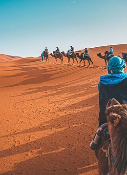 Oameni călărind cămile în deșertul Sahara
