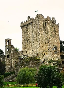 Un castel din Irlanda