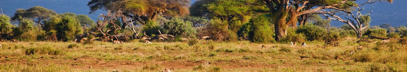 Peisaj natural din Africa