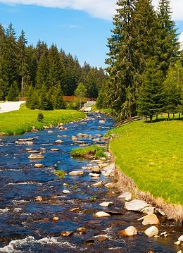 Un râu într-un parc național