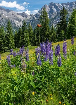 Un peisaj natural al alpilor austrieci