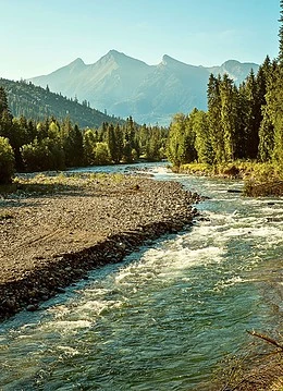 Peisajul natural al unui râu înconjurat de pădure