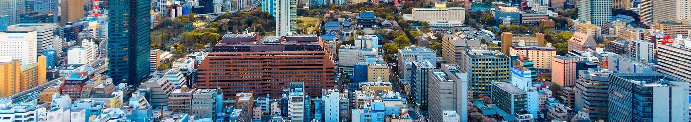 Vedere panoramică asupra orașului Tokyo