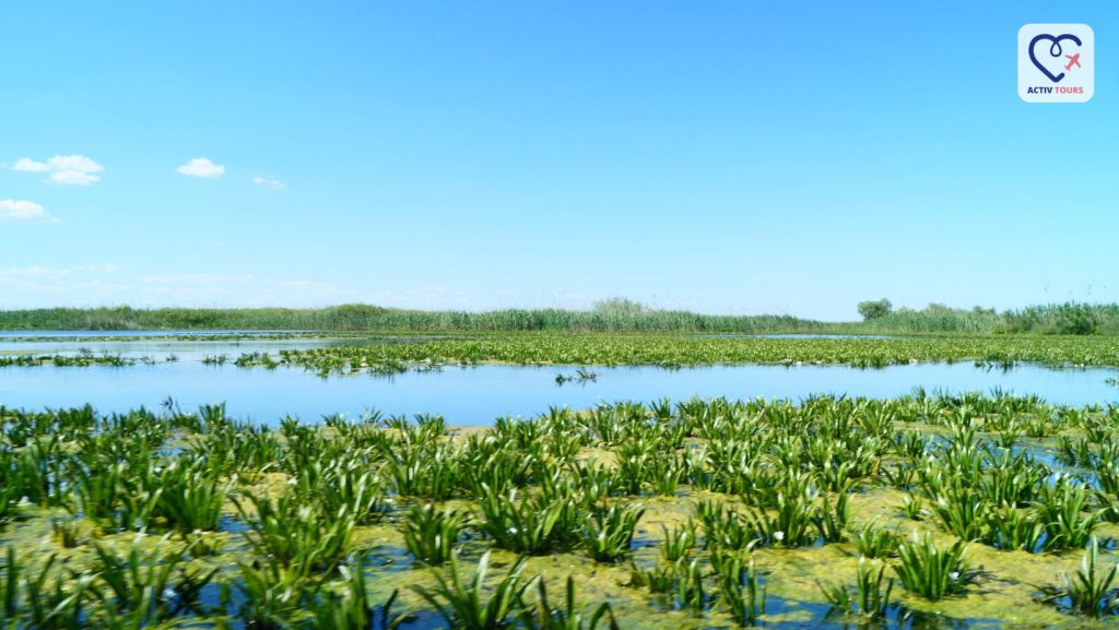 peisaj panoramic din delta dunarii